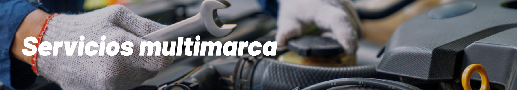 Servicios multimarca
