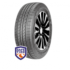215/60 R17 DS01 100H
