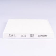 FILTRO POLEN CABINA C/AC NN8105005ADUS030