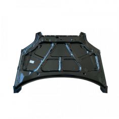 CAPOT MOTOR SEDAN 2009/