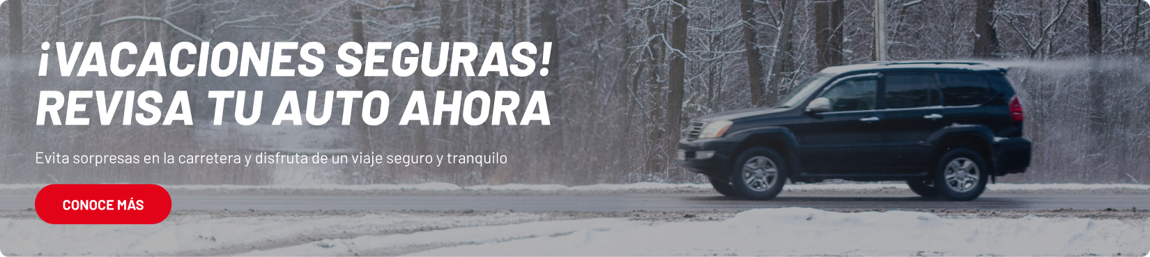 Banner Ofertas Generales tienda ssur