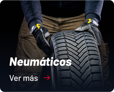 Categoria Neumaticos Salfasur