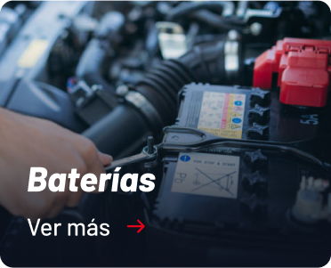 Categoria Baterias Salfasur