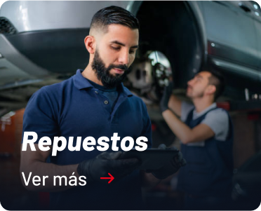 Categoria Repuestos Salfasur