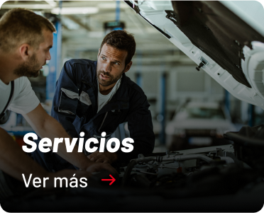 Categoria Servicios Salfasur