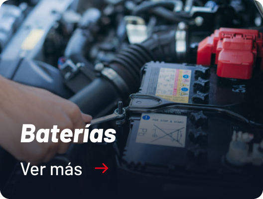 Categoria Baterias Salfasur