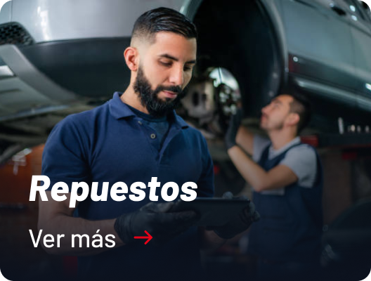 Categoria Repuestos Salfasur
