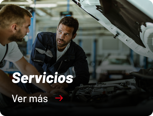 Categoria Servicios Salfasur