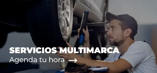 Servicios Multimarca Salfasur