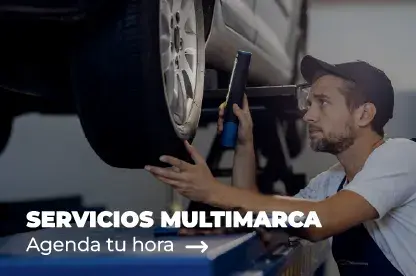 Servicios Multimarca Salfasur